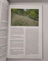 Orchideje České republiky (2)